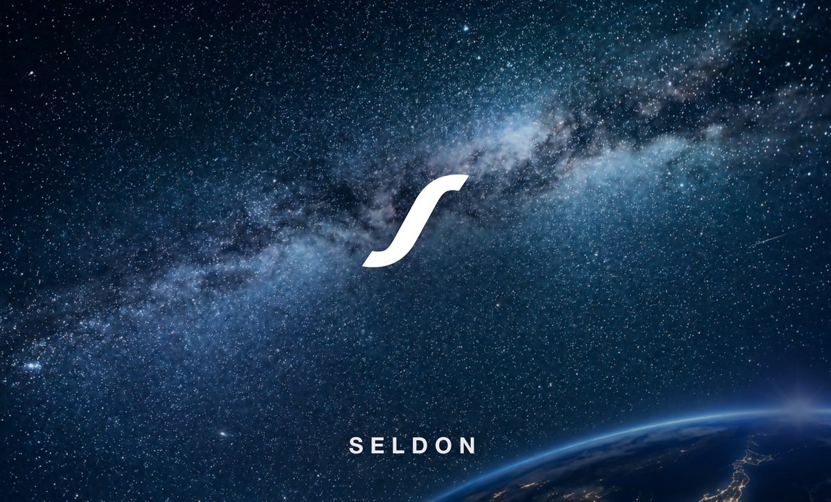 名刺の表。夜空の写真の中央に白い∫のシンボル、下に小さくSELDON